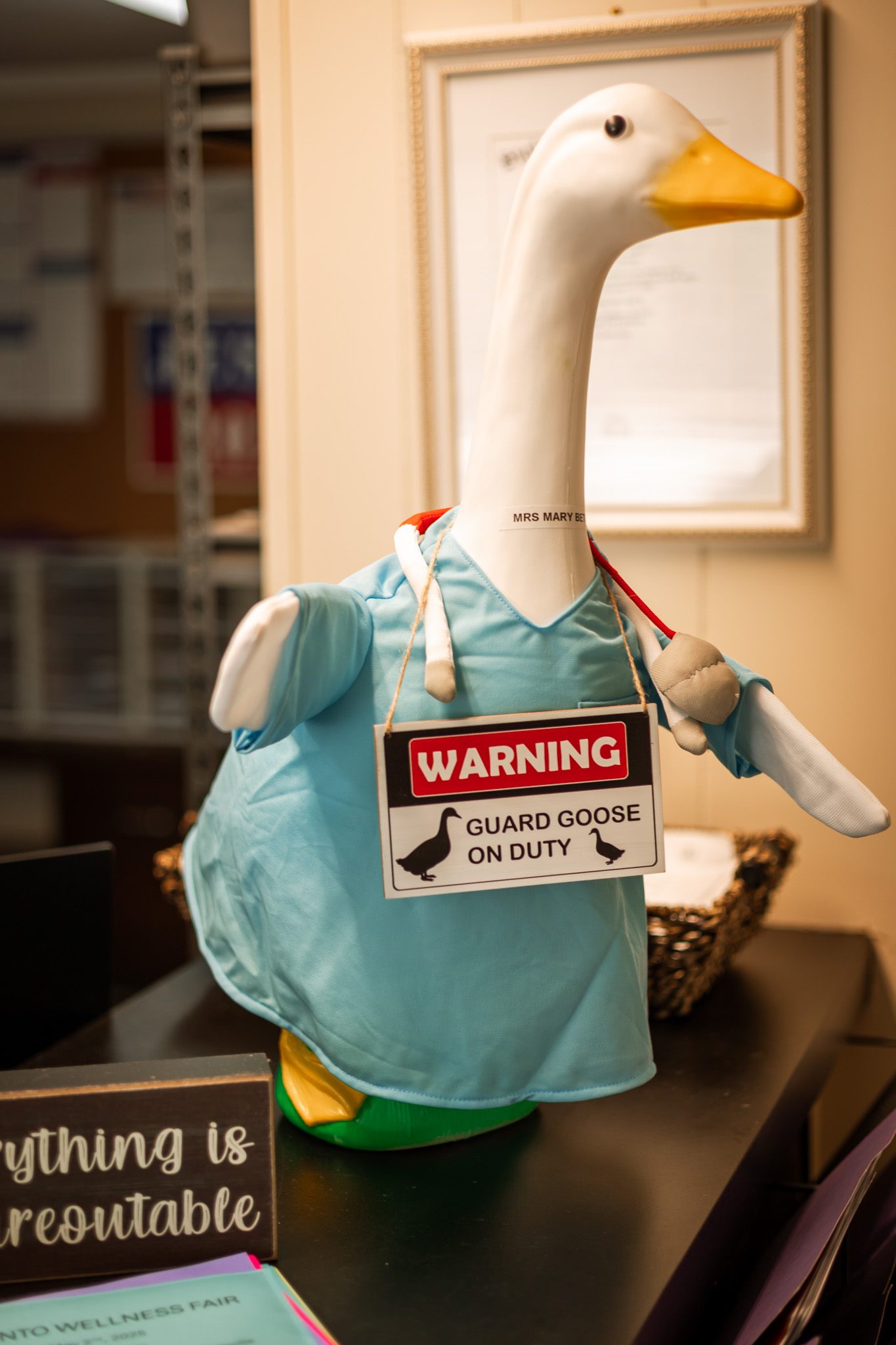 Our office mascot, the guard goose, in scrubs